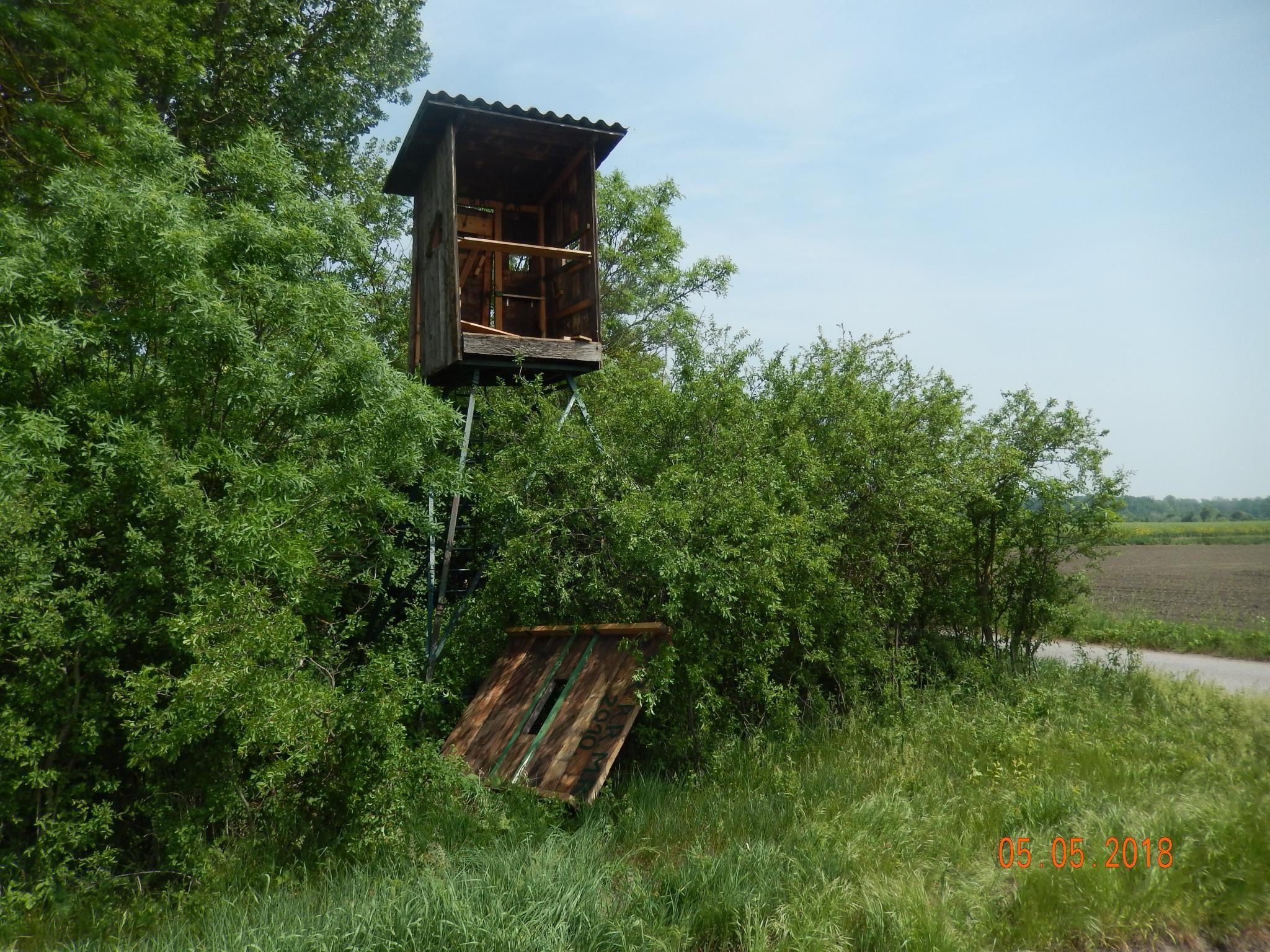 Die Explosion war so gewaltig, dass Holzstücke bis zu 30 Meter weit flogen. Die Explosion war so gewaltig, dass Holzstücke bis zu 30 Meter weit flogen.