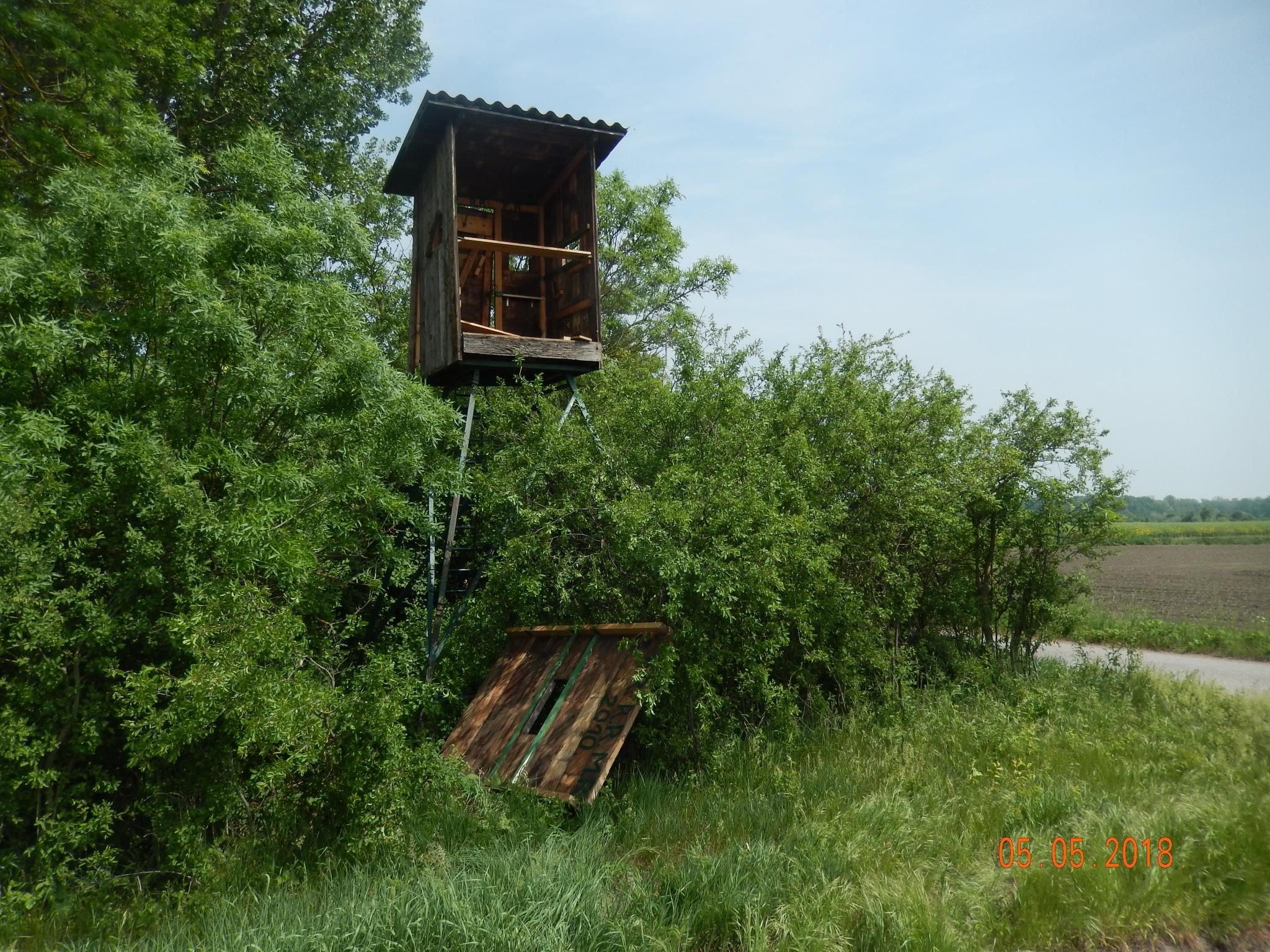 Die Explosion war so gewaltig, dass Holzstücke bis zu 30 Meter weit flogen.