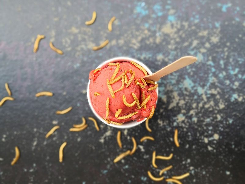 Am Wiener Naschmarkt wird Ende dieser Woche ein Eis mit Insekten angeboten. Am Wiener Naschmarkt wird Ende dieser Woche ein Eis mit Insekten angeboten.
