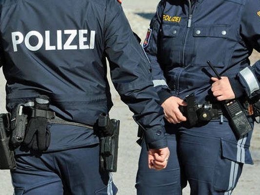 Die Zielfahnder konnten den gesuchten Gewalttäter in Wien festnehmen.