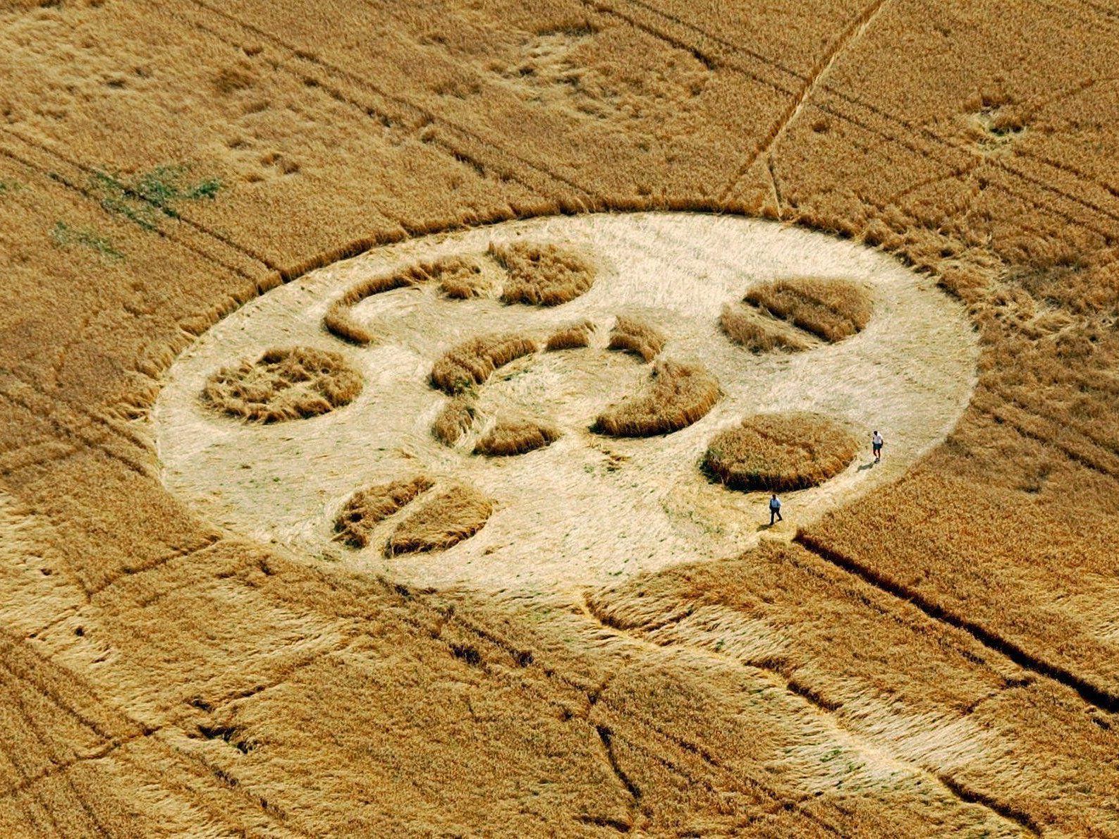 Sind Kornkreise tatsächlich das Werk von Außerirdischen?