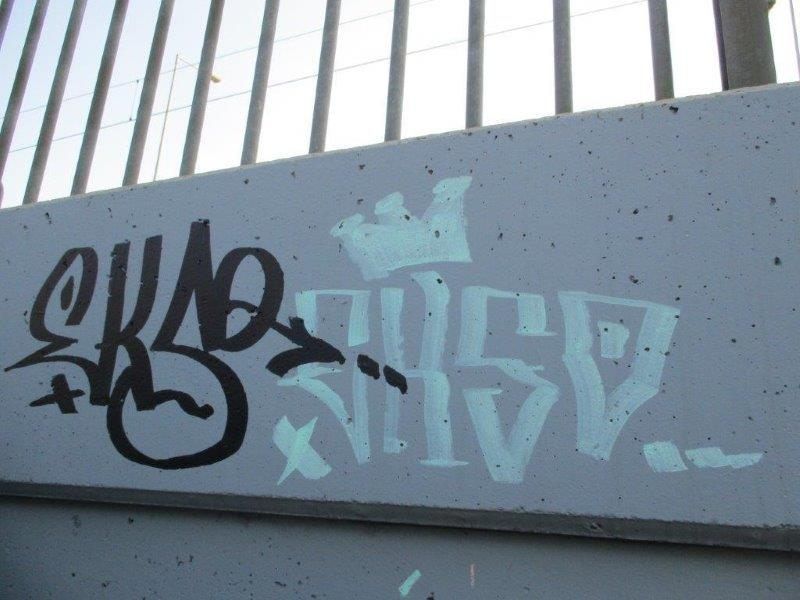 Insgesamt verursachte der 21-Jährige 15 Sachbeschädigungen. Insgesamt verursachte der 21-Jährige 15 Sachbeschädigungen.