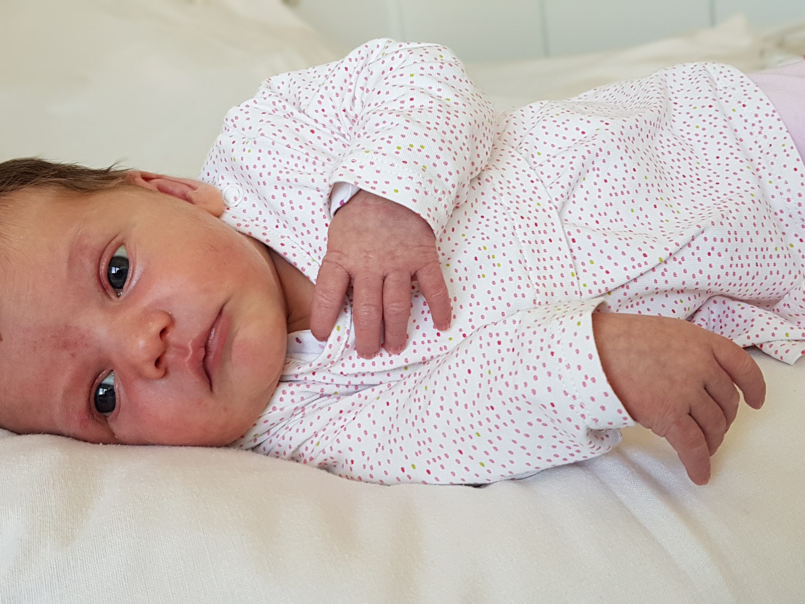 Das Team von weiler.vol.at gratuliert herzlichst.