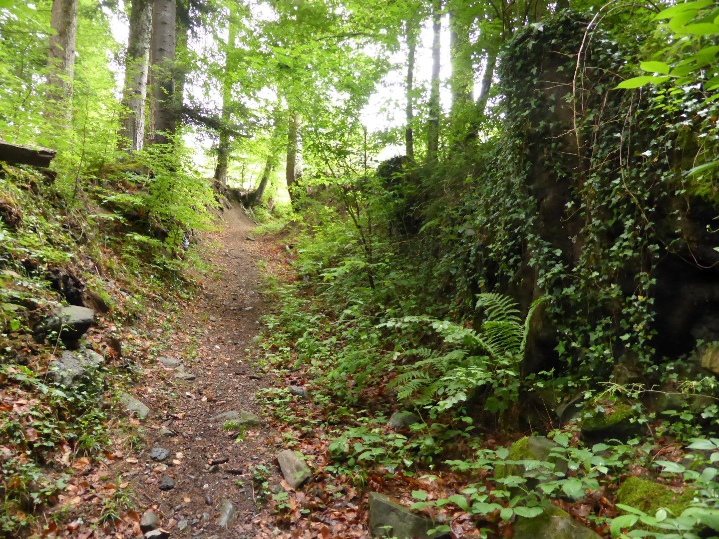 Hohlweg nach Vika