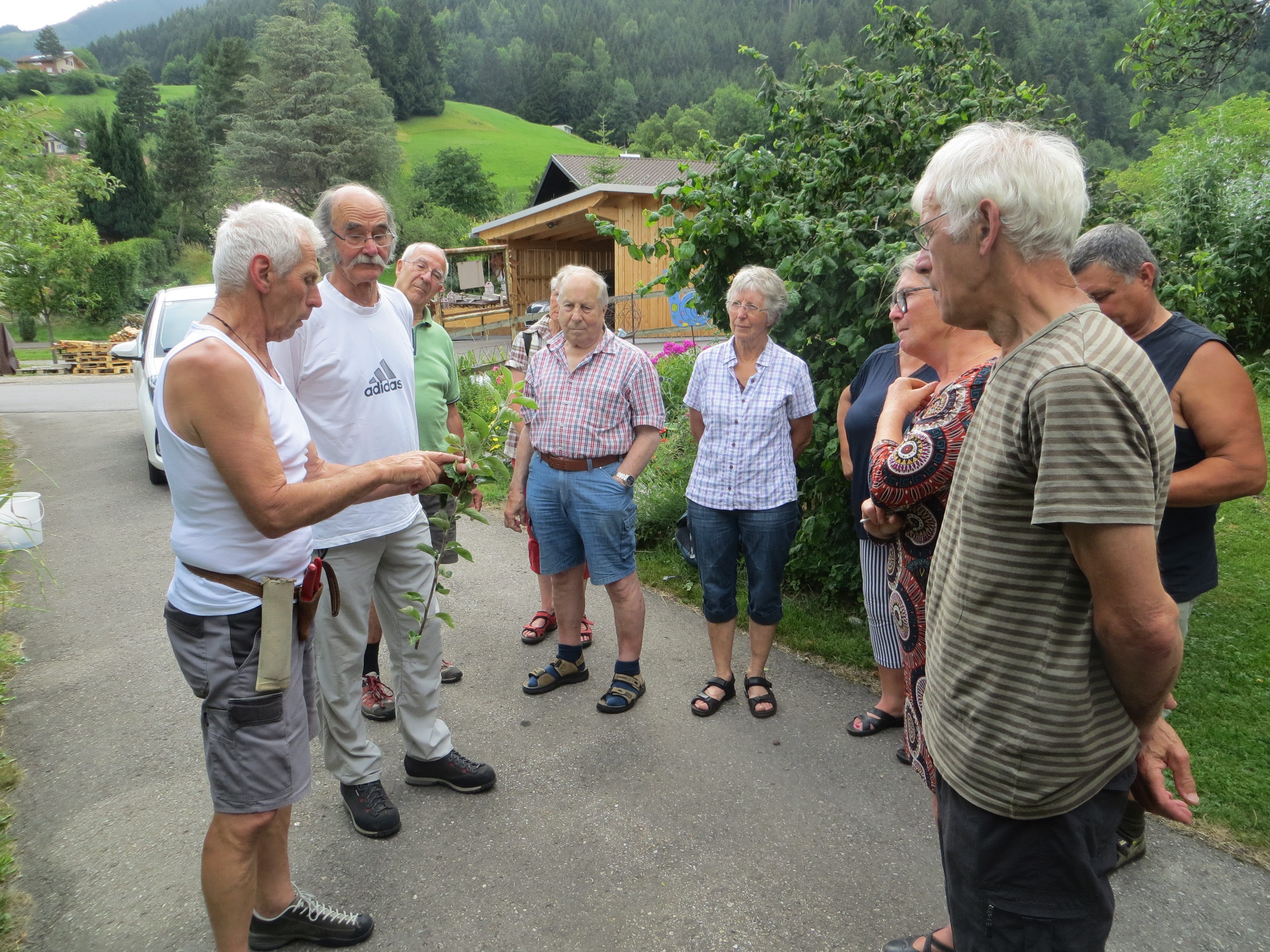 Sommerschnittkurs 2017