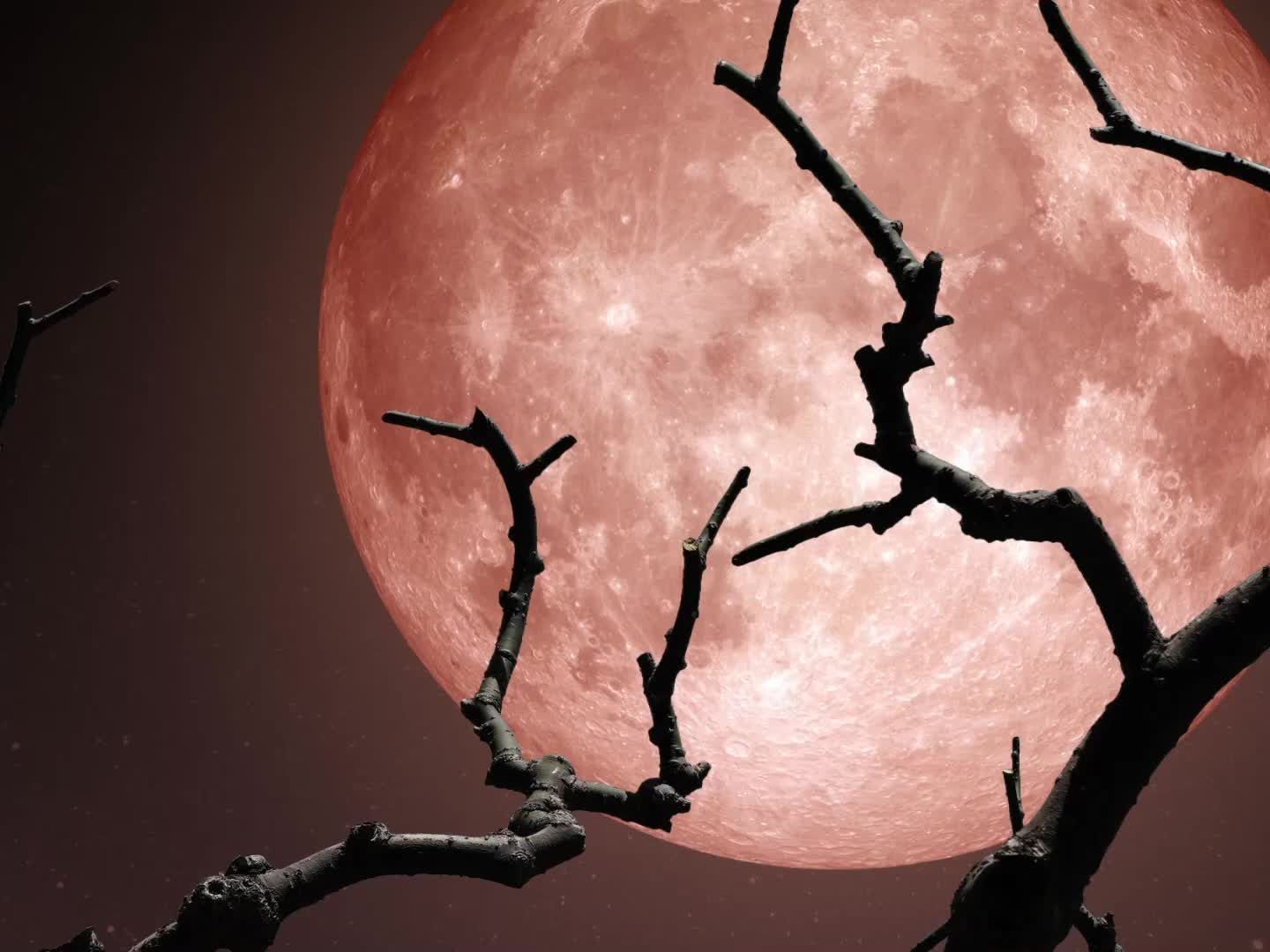 Am 27. Juli findet eine totale Mondfinsternis statt. Am 27. Juli findet eine totale Mondfinsternis statt.
