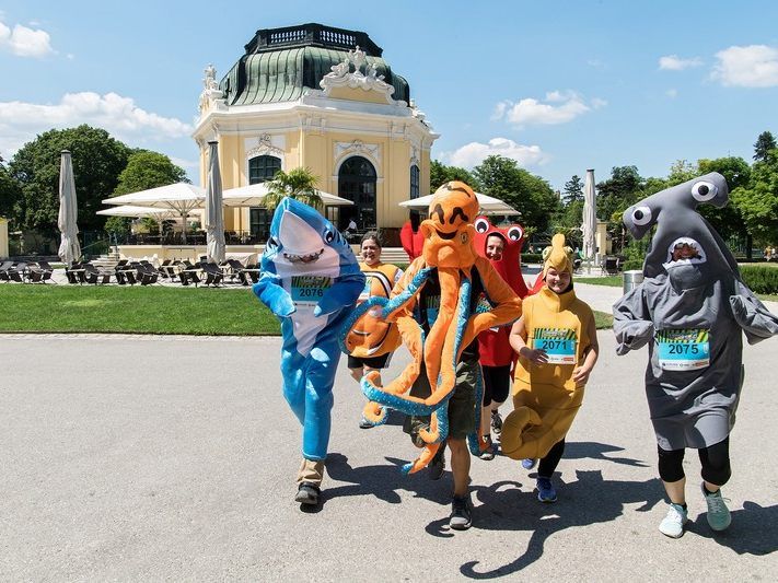 Der Wiener Zoolauf findet zum 7. Mal statt.