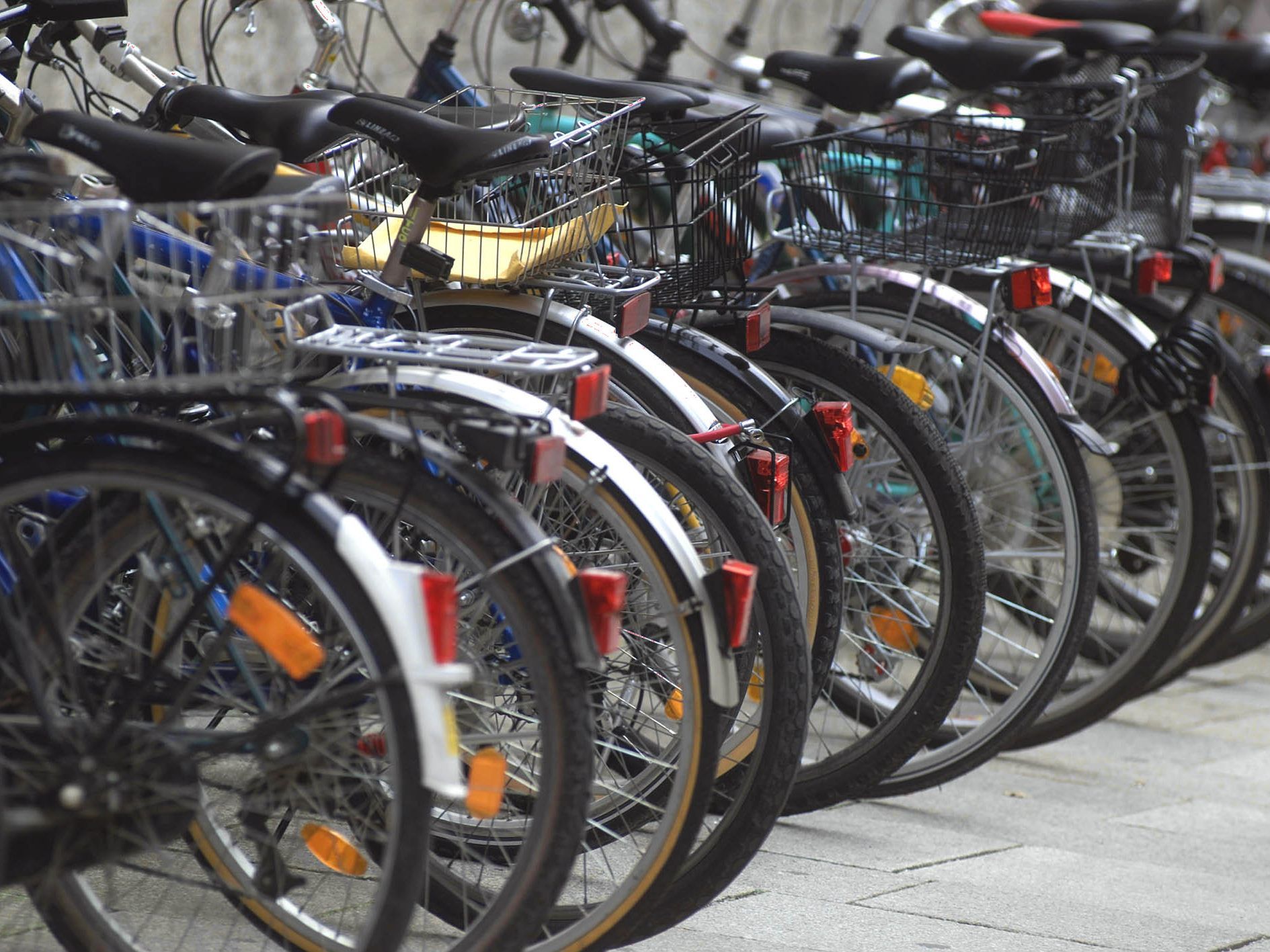 Der Mann wurde auf freiem Fuß angezeigt.