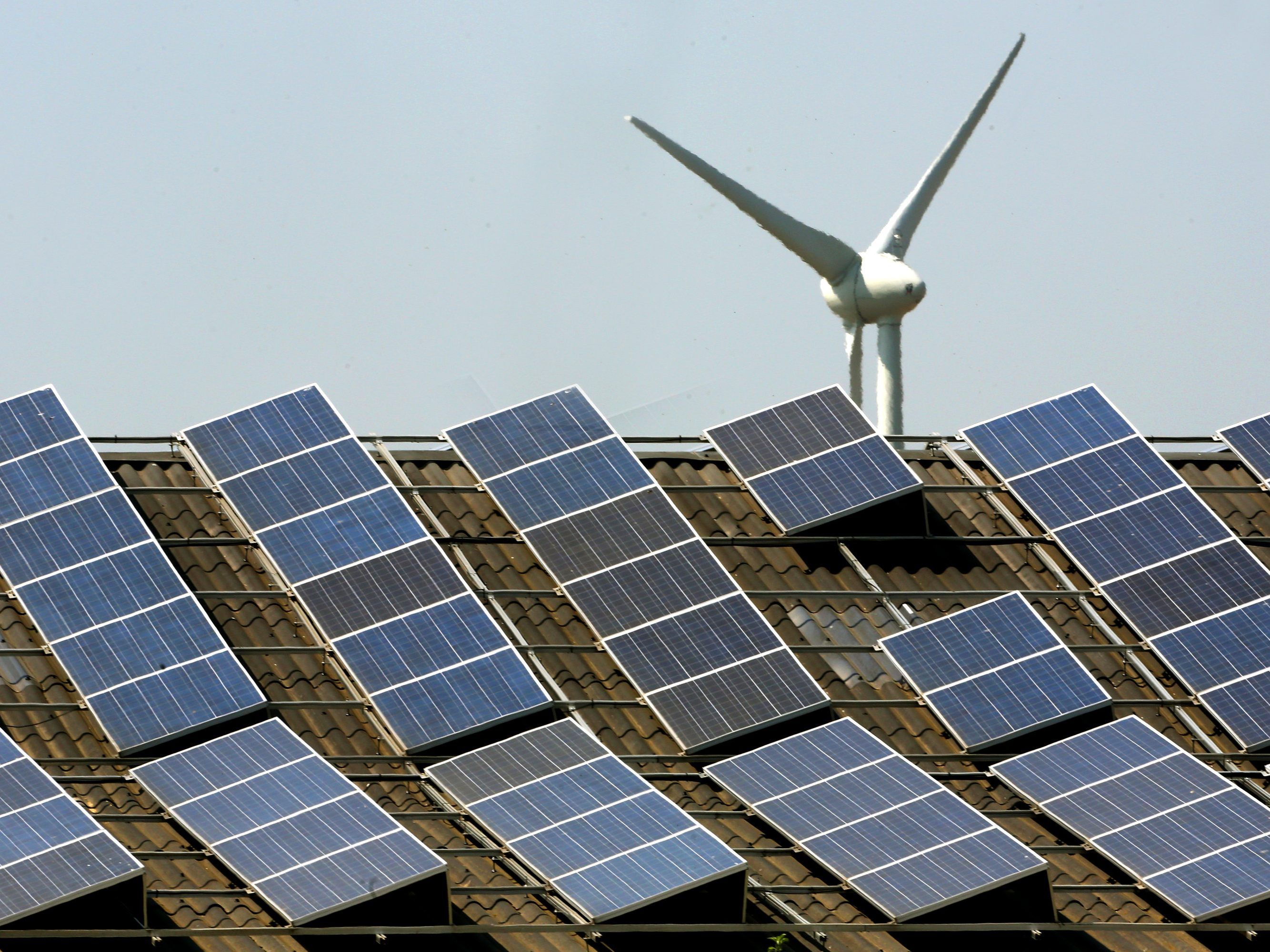 Wien Energie baut seine Photovoltaik aus. / Symbolbild Wien Energie baut seine Photovoltaik aus. / Symbolbild
