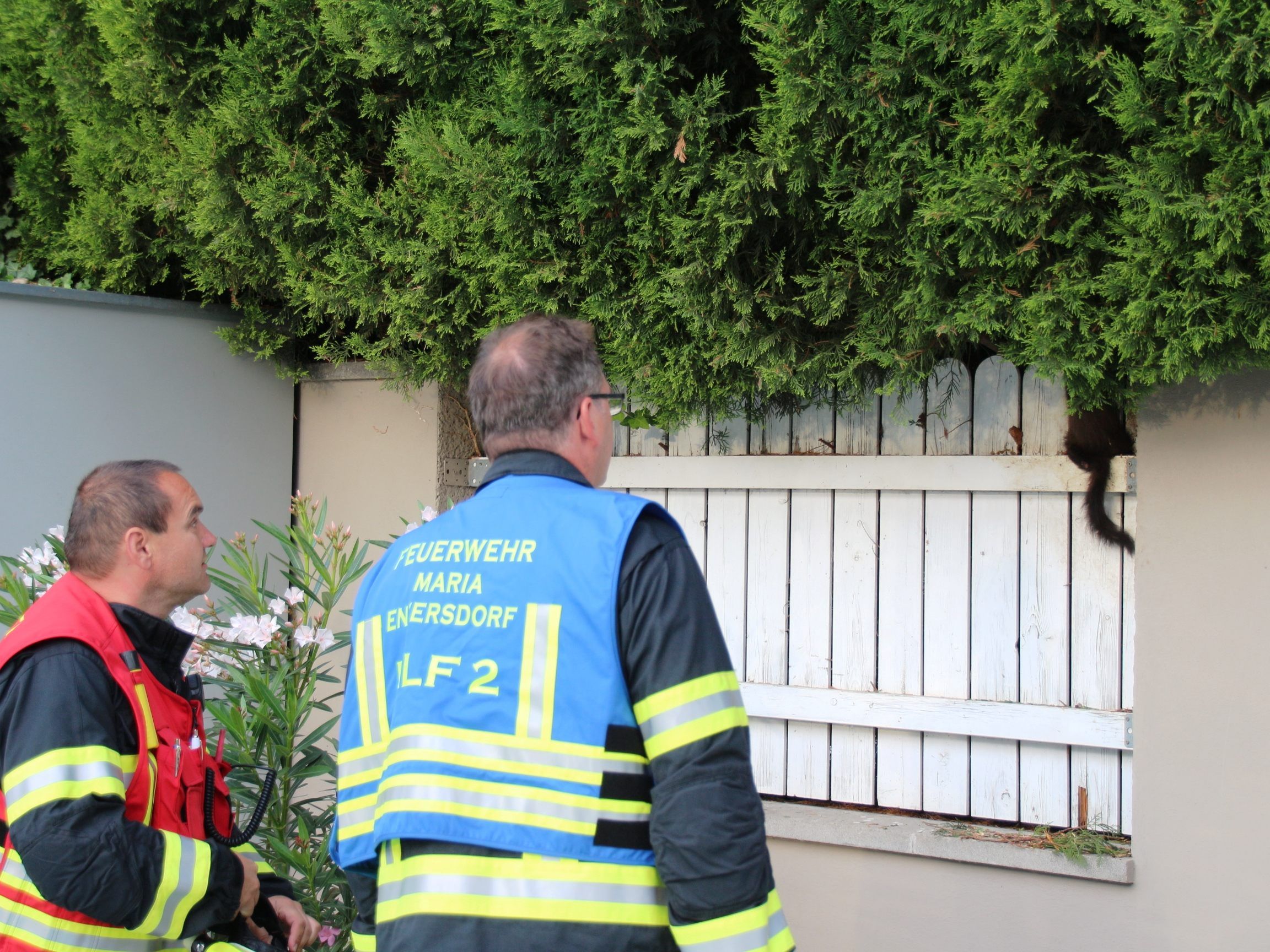 Am Mittwoch musste die Freiwillige Feuerwehr Maria Enzersdorf zur Tierrettung ausrücken.