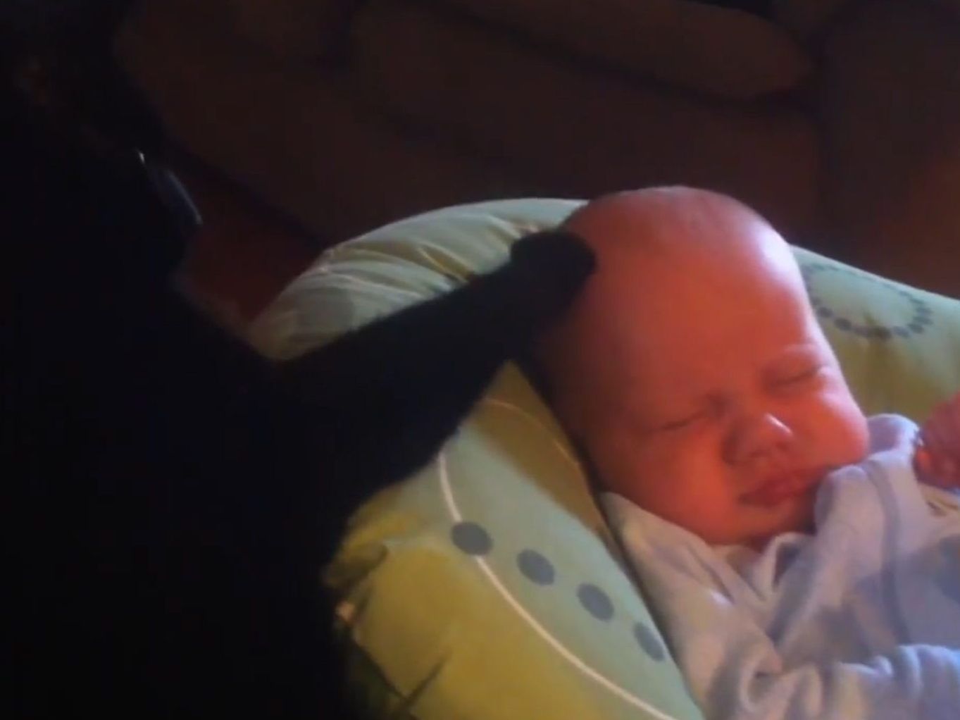 "Ist das der Ausschaltknopf?" - Immerhin brngt die Katze das Baby zum Schlafen.