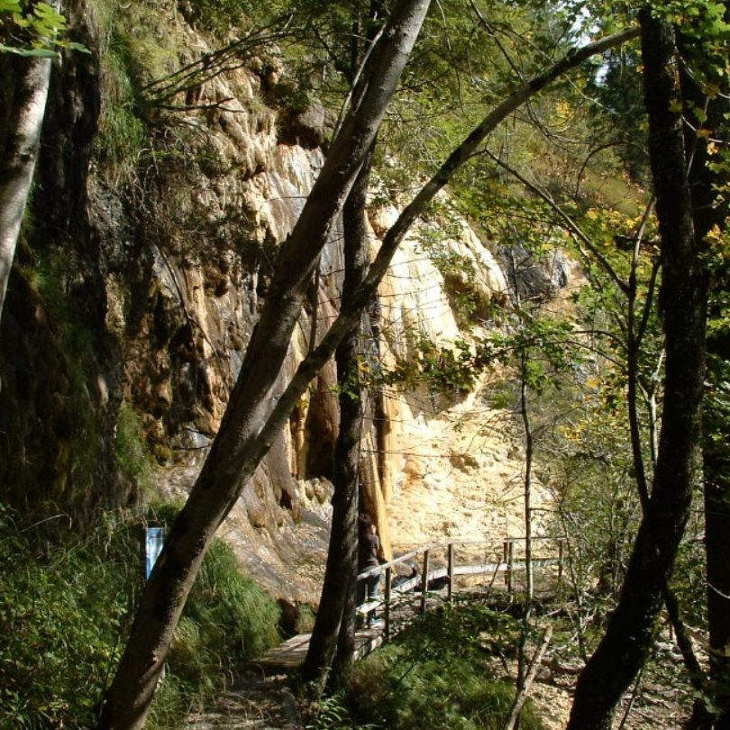 Ein außergewöhnliches Naturdenkmal