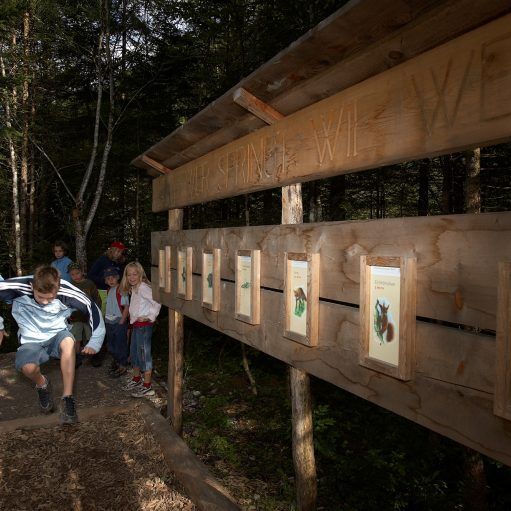 Wie weit kann ein Hase springen und wie weit ein Mensch?