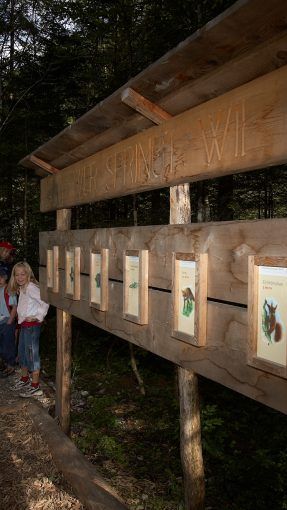 Wie weit kann ein Hase springen und wie weit ein Mensch?