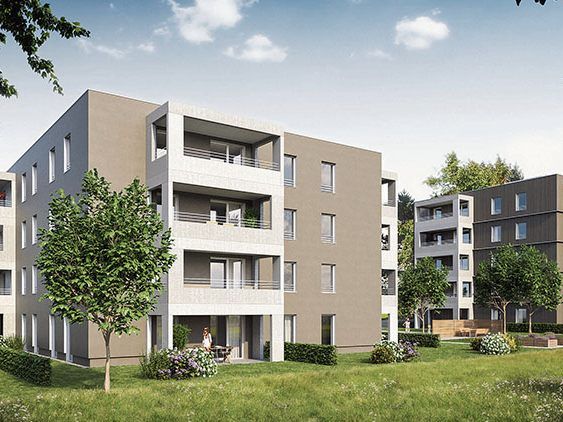 Vergleich: In Wolfurt werden erstmals ein Massiv- und ein Holzbau direkt nebeneinander und quasi zeitgleich errichtet. Vergleich: In Wolfurt werden erstmals ein Massiv- und ein Holzbau direkt nebeneinander und quasi zeitgleich errichtet.