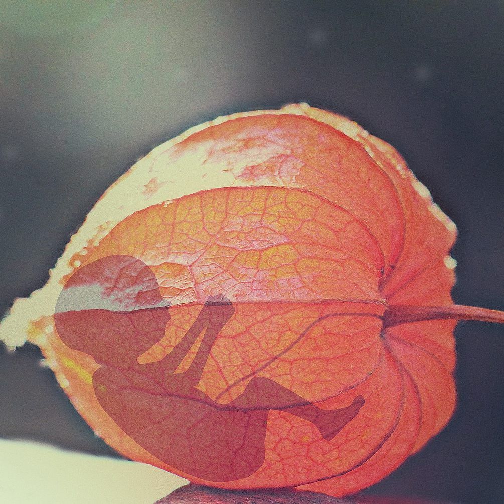 Mitgrantinnen haben ein 2,5 mal größeres Risiko, ungewollt schwanger zu werden.