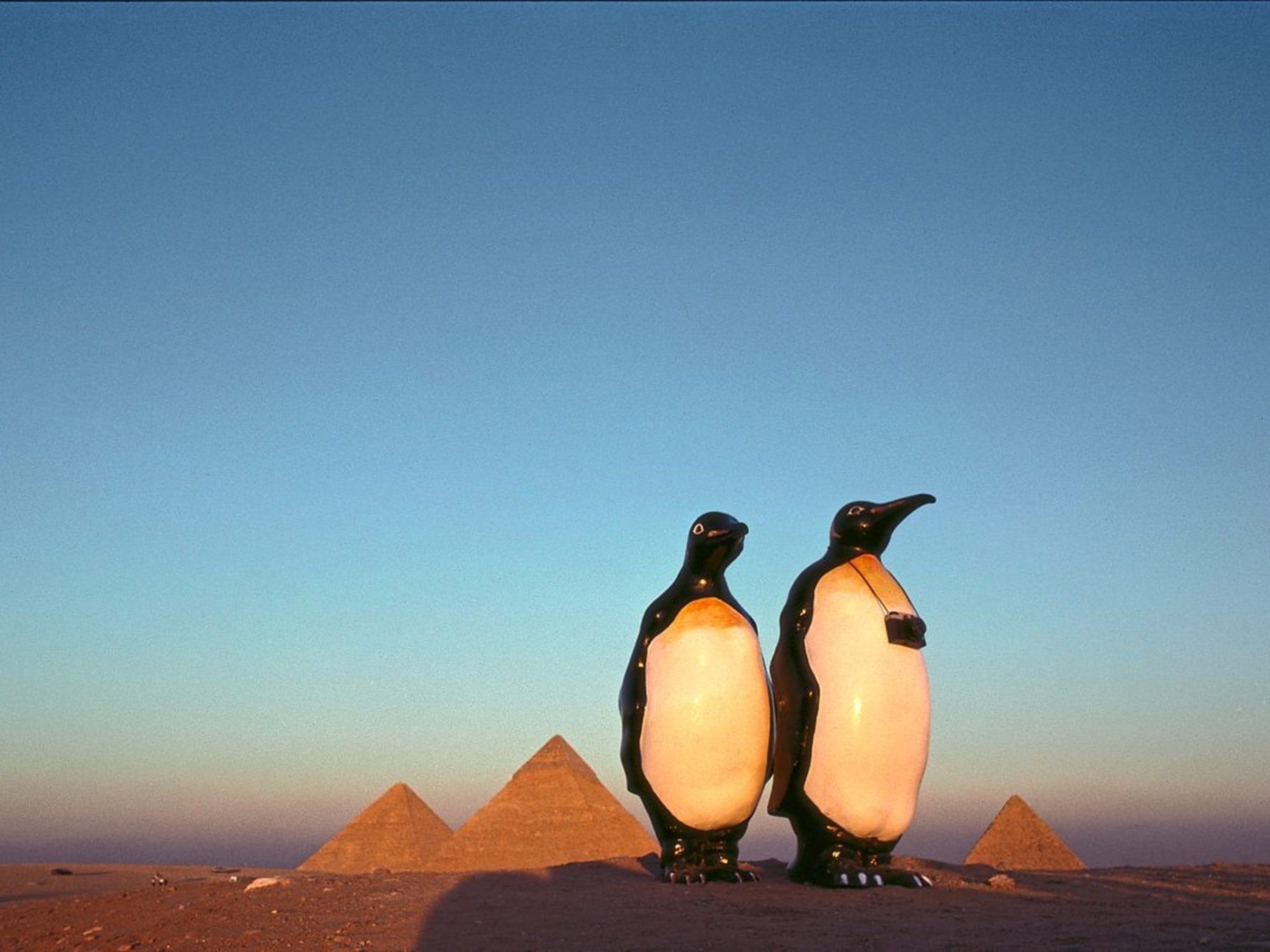 Das Musa trumpft mit den 90ern und dem Feminismus auf.