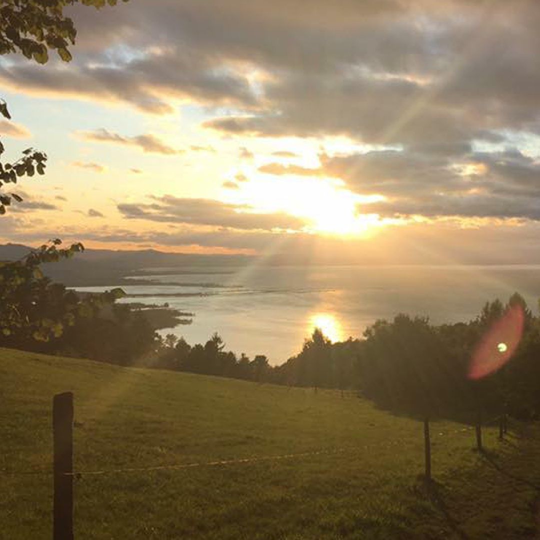 17.000 Gäste besuchten Vorarlberg über die Online-Plattform Airbnb.