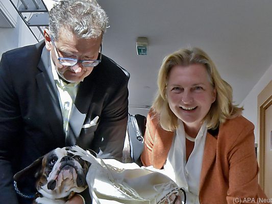 Kneissl dürfte wieder wohlauf sein Kneissl dürfte wieder wohlauf sein