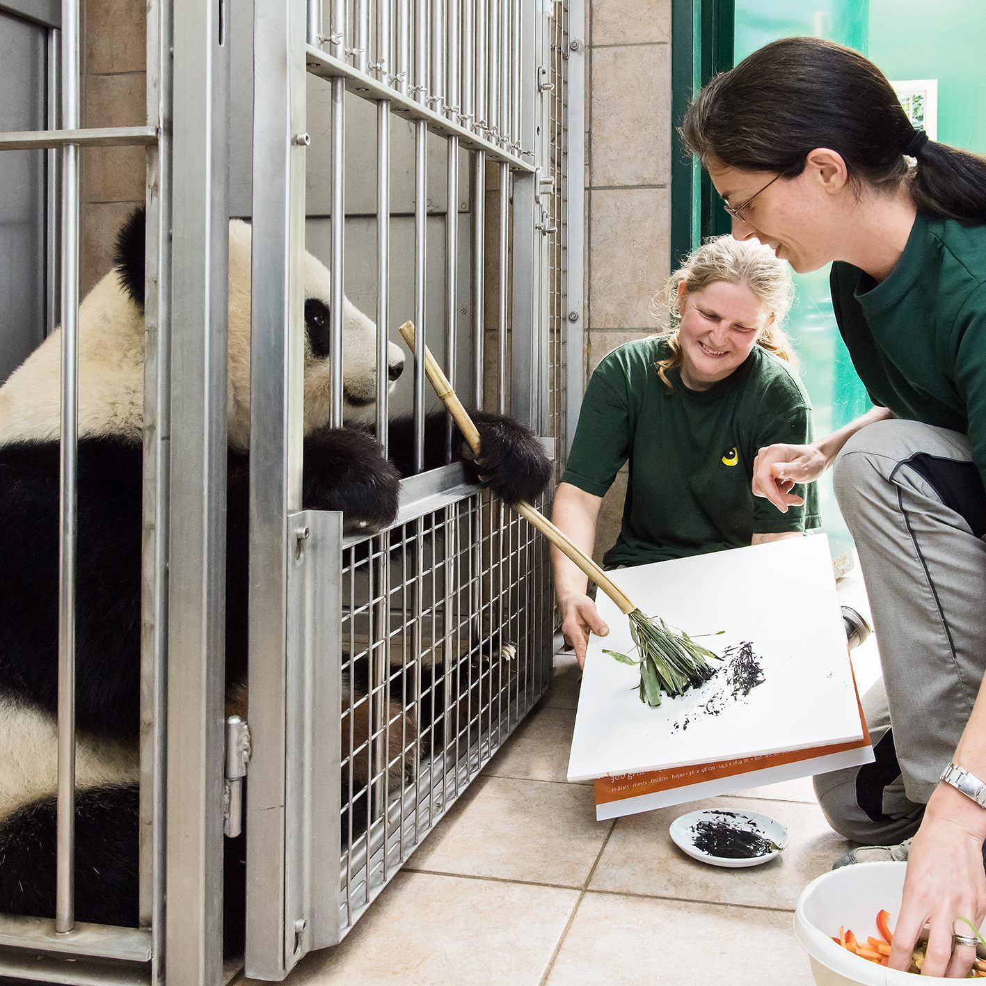 Die Bilder der Panda-Dame sind um jeweils 490 Euro erhältlich.