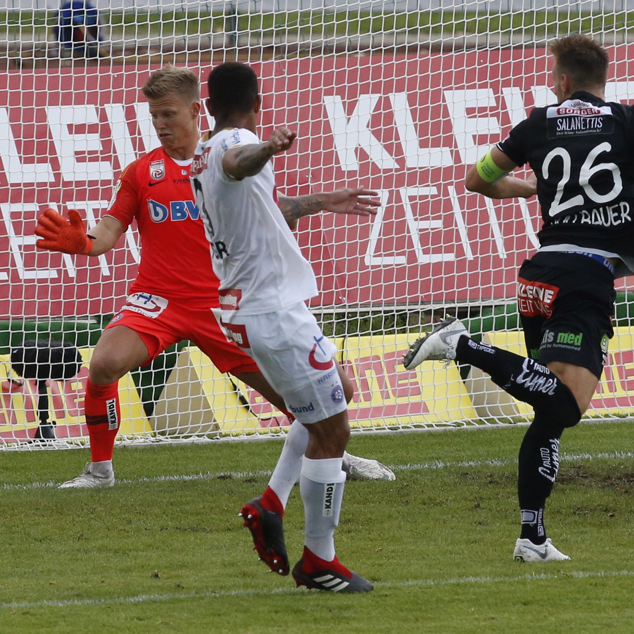 WAC gewann gegen Austria Wien.