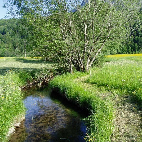 Barfußgehen ist ein hervorragendes Training für Körper und Geist