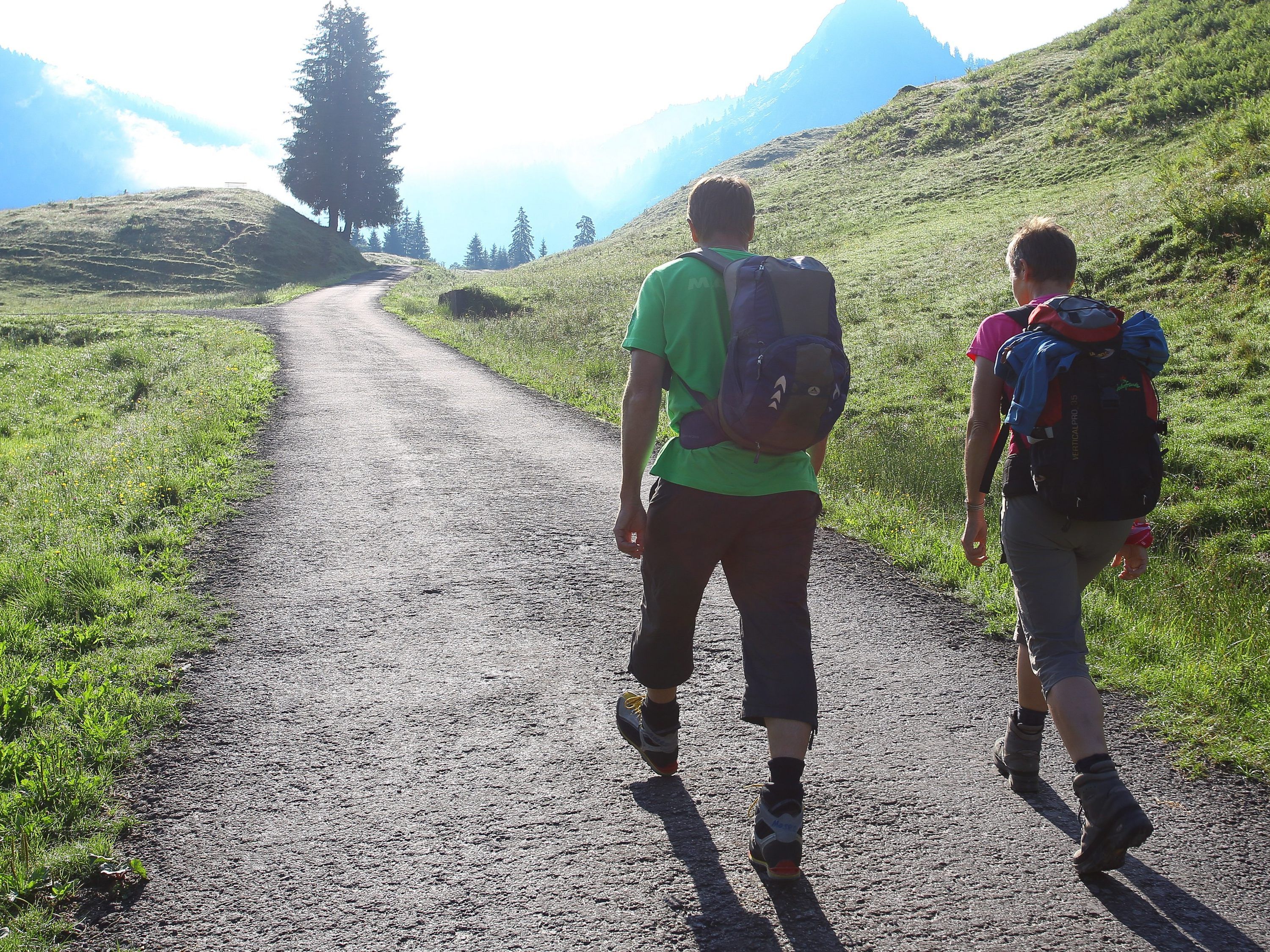 Der Vorarlberger Bergführerverband erhält 19.000 Euro vom Land.