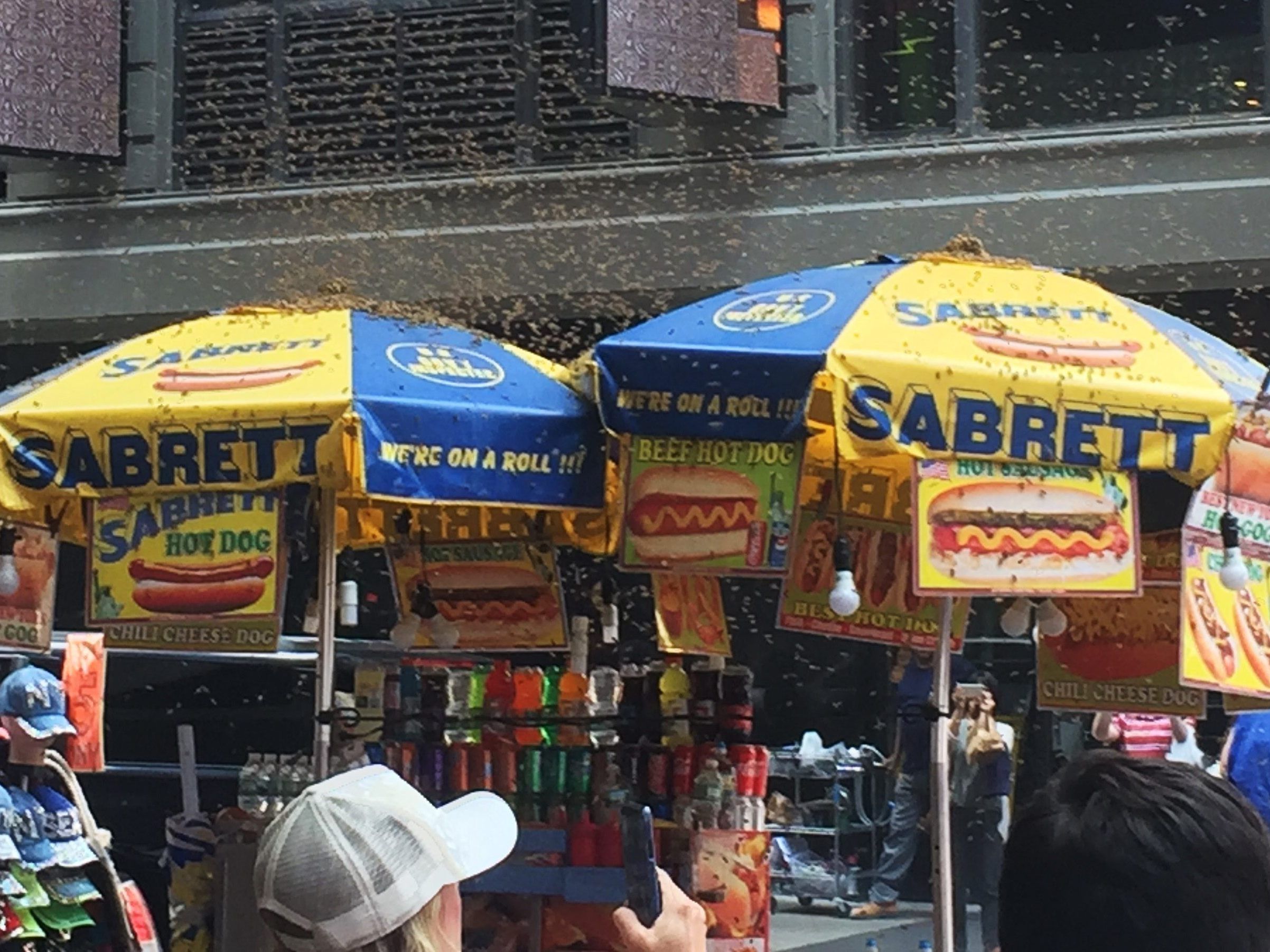 Bienen belagern einen Hotdog-Stand.