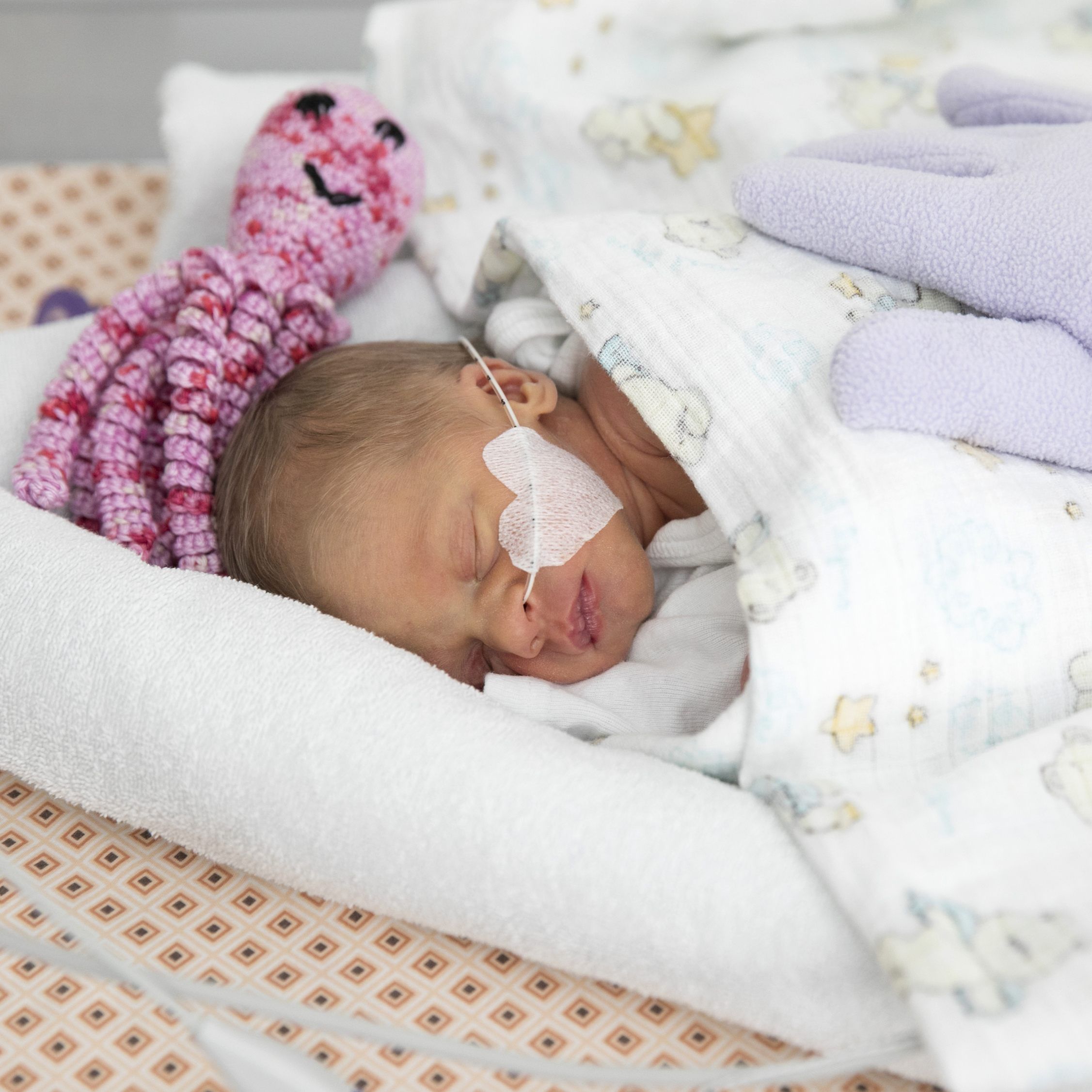 Eine neue Abteilung für Kinderheilkunde mit Neonatologie wurde im St. Josef Krankenhaus eröffnet.