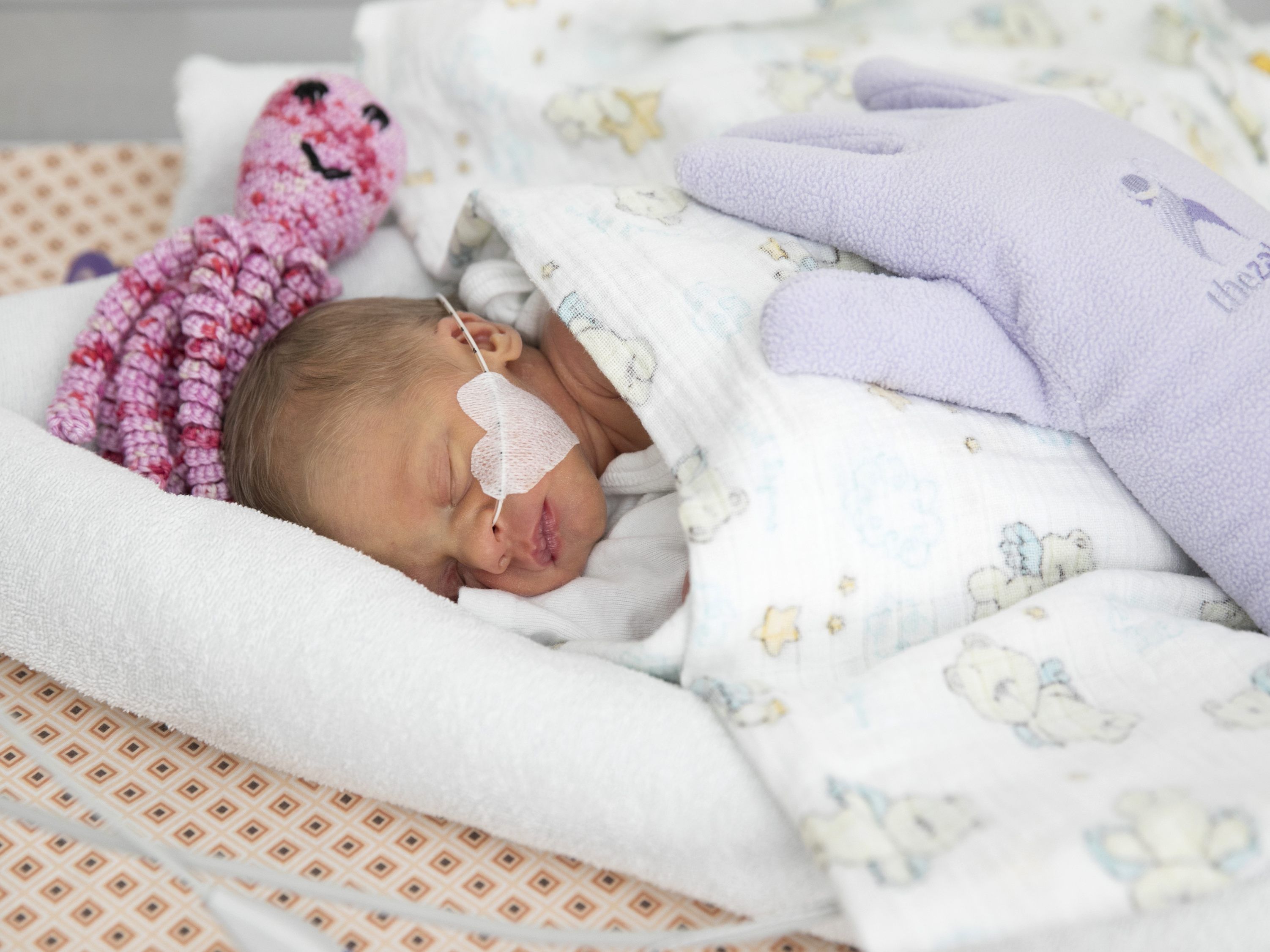 Eine neue Abteilung für Kinderheilkunde mit Neonatologie wurde im St. Josef Krankenhaus eröffnet. Eine neue Abteilung für Kinderheilkunde mit Neonatologie wurde im St. Josef Krankenhaus eröffnet.
