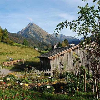 Im Reich der Kräuter