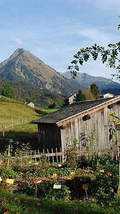 Im Reich der Kräuter