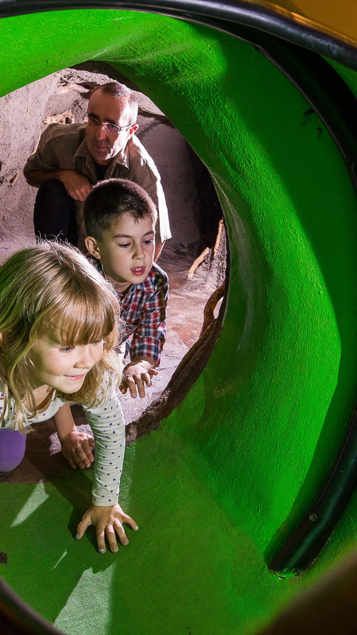 Den Lebensraum Wald spielerisch entdecken