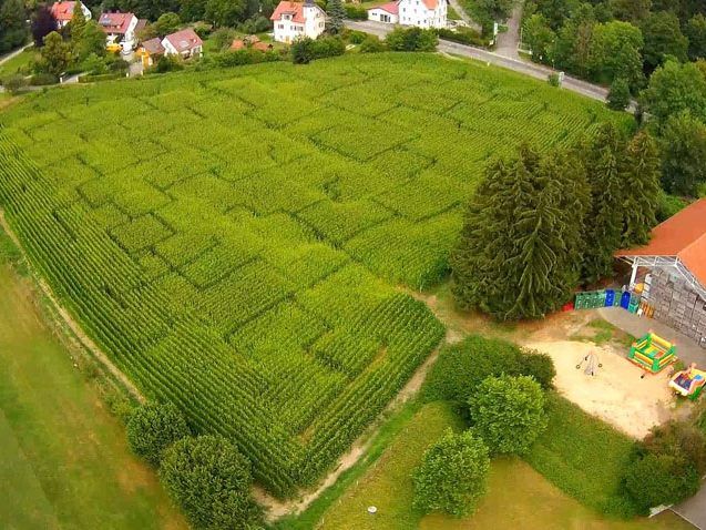 Grüner Irrgarten