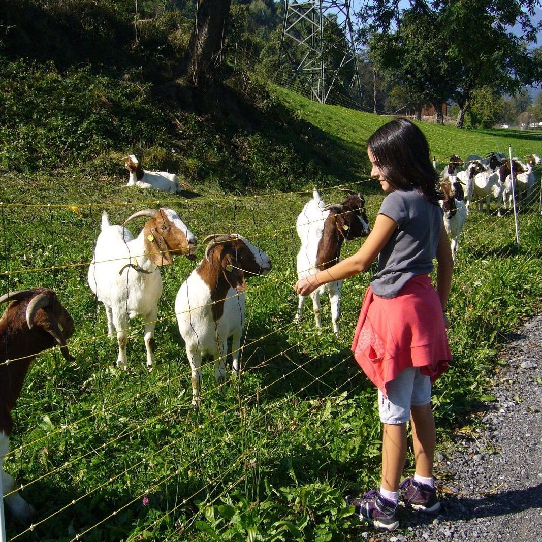 Wanderung entlang des Märchenwegs