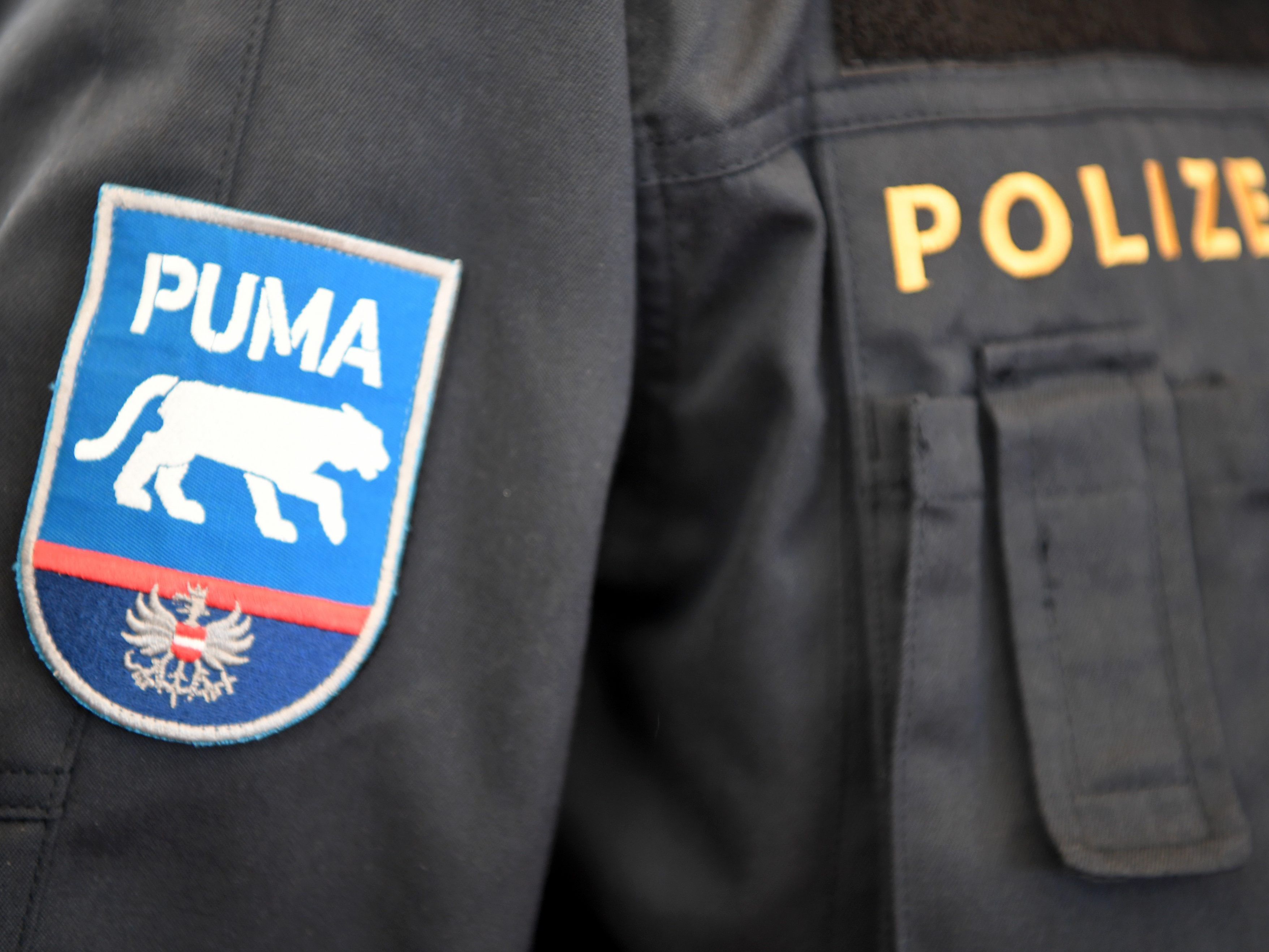Das Logo der Grenzschutzeinheit "Puma". Das Logo der Grenzschutzeinheit "Puma".