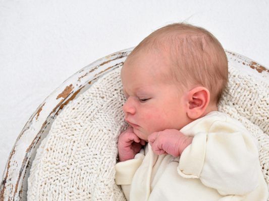 Die Vol.at - Redaktion gratuliert recht herzlich.