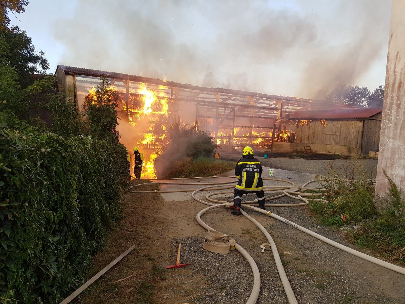Der 1.000 Quadratmeter große Stalll mit Stadel brannte komplett nieder. Der 1.000 Quadratmeter große Stalll mit Stadel brannte komplett nieder.