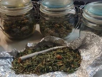 Bei einem Einsatz im 23. Wiener Gemeindebezirk konnten mehrere Gläser Marihuana sichergestellt werden.