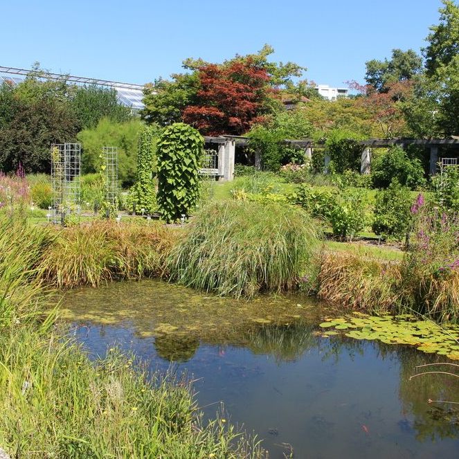 Ein Ort der Ruhe und Erholung