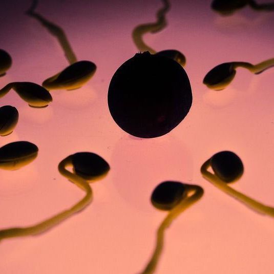 Sperma könnte die Rettung sein gegen Gebärmutterhalskrebs