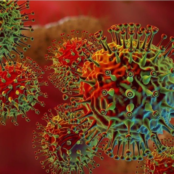 Super-Virus: Eine Gefahr für die Menschheit?