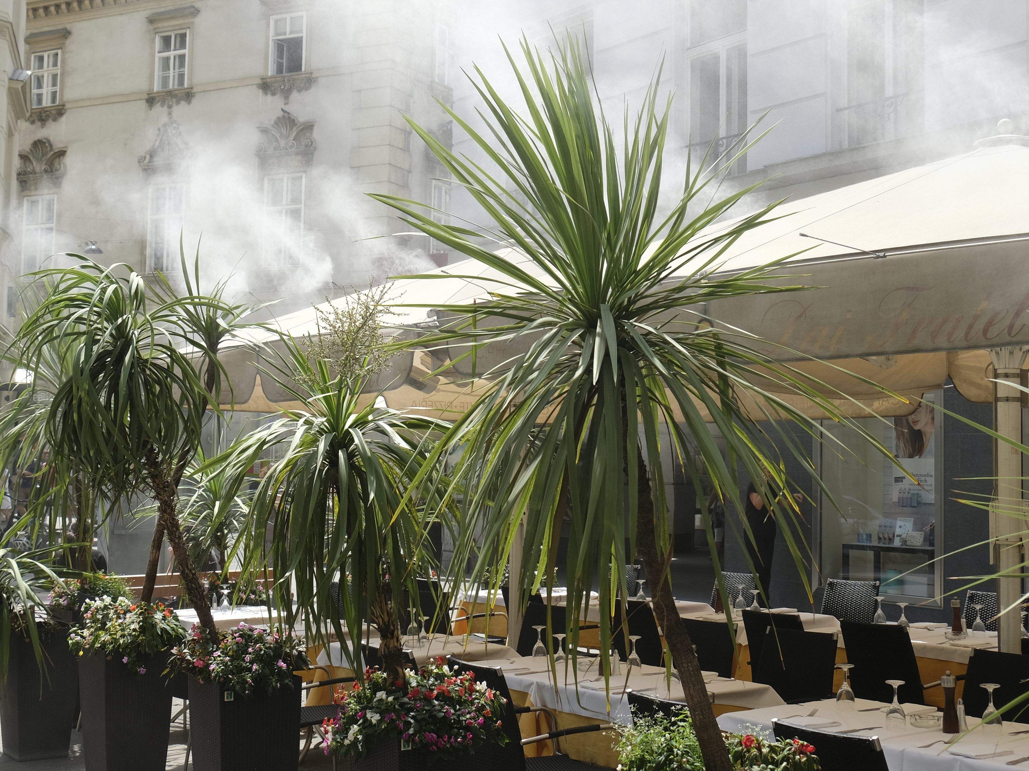 Tropische Temperaturen gab es auch in der Nacht auf heute in der Wiener Innenstadt. Tropische Temperaturen gab es auch in der Nacht auf heute in der Wiener Innenstadt.