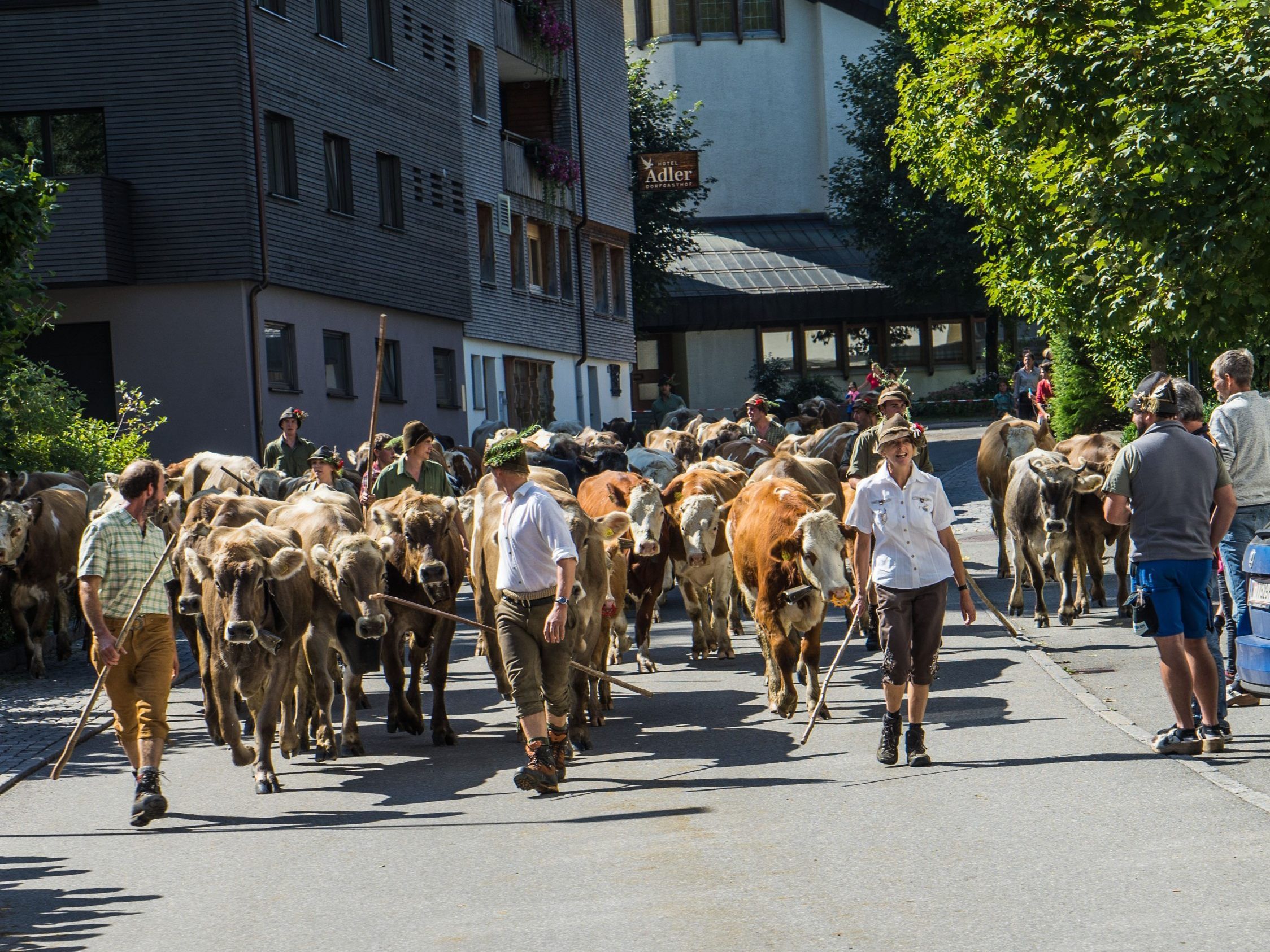 Alptag 2018 Mellau