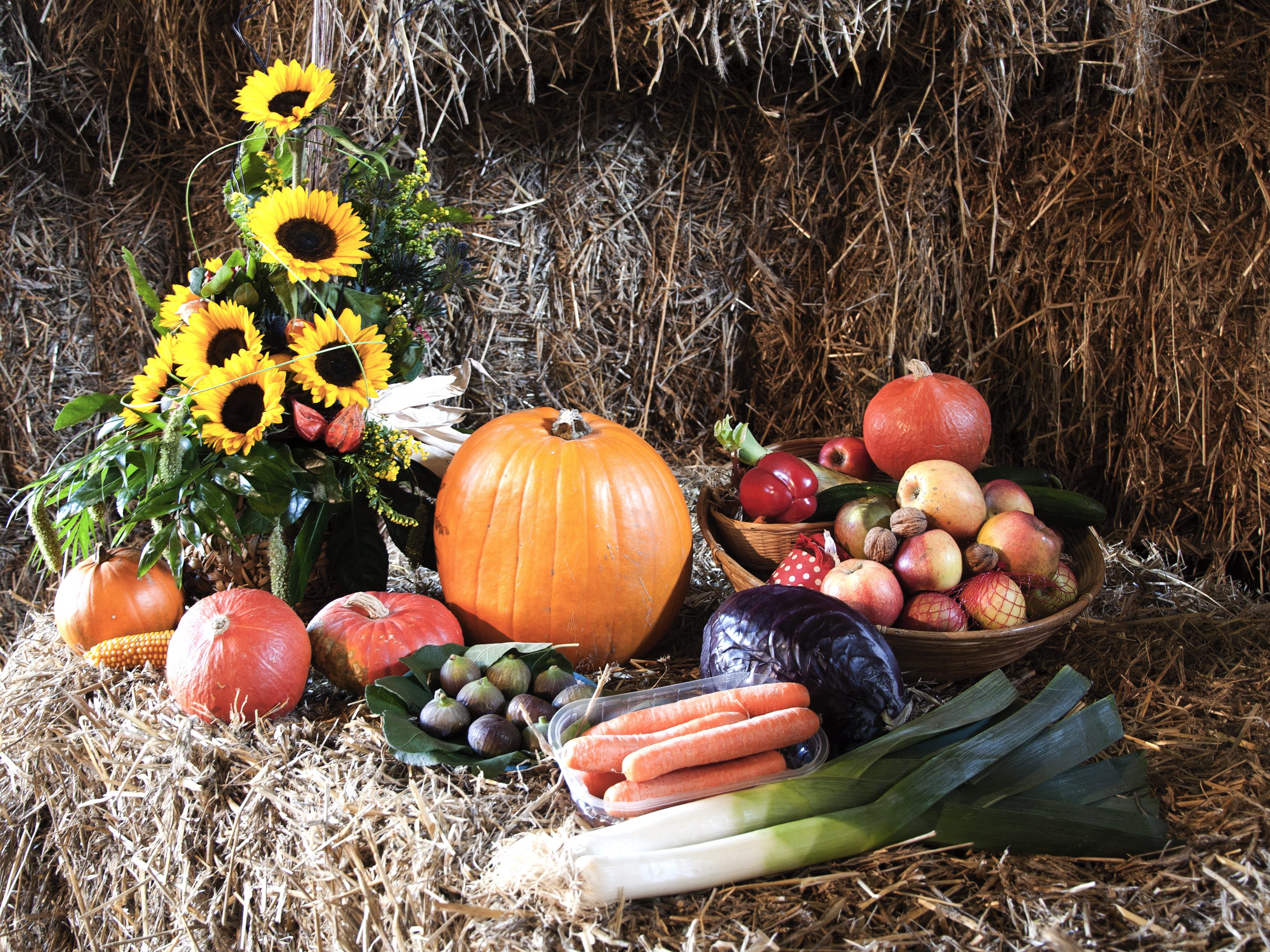 "105 Jahre Obst und Gartenbauverein Dalaas - Wald" gibt es am kommenden Sonntag zu feiern.