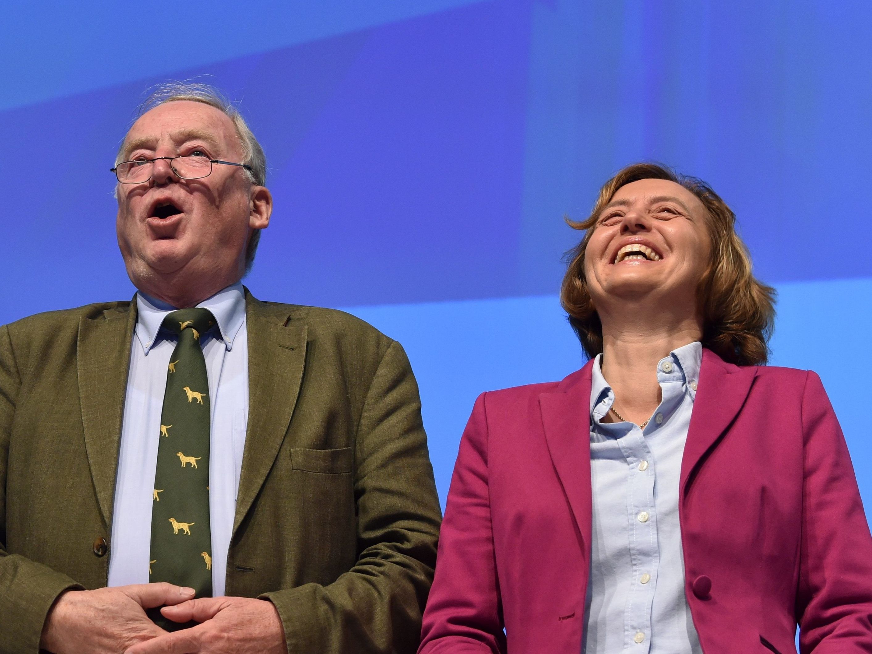 AfD im Höhenflug