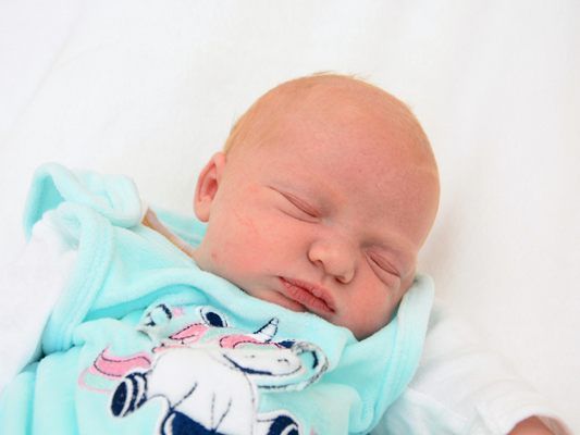 Die Vol.at - Redaktion gratuliert recht herzlich. Die Vol.at - Redaktion gratuliert recht herzlich.