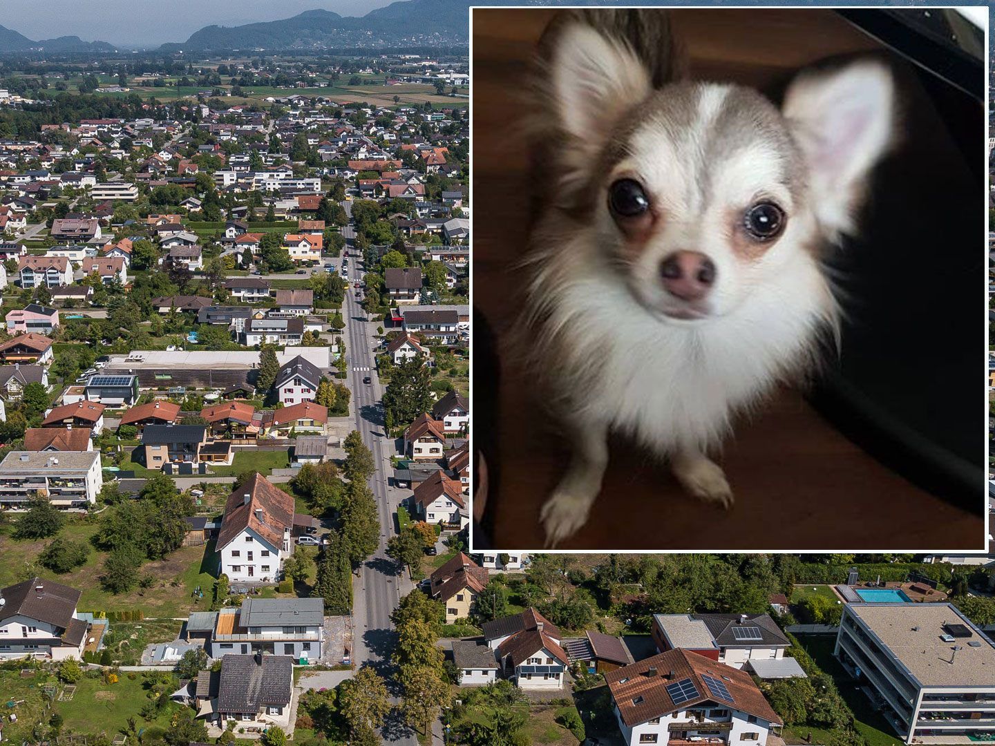 Warnung vor Giftködern.