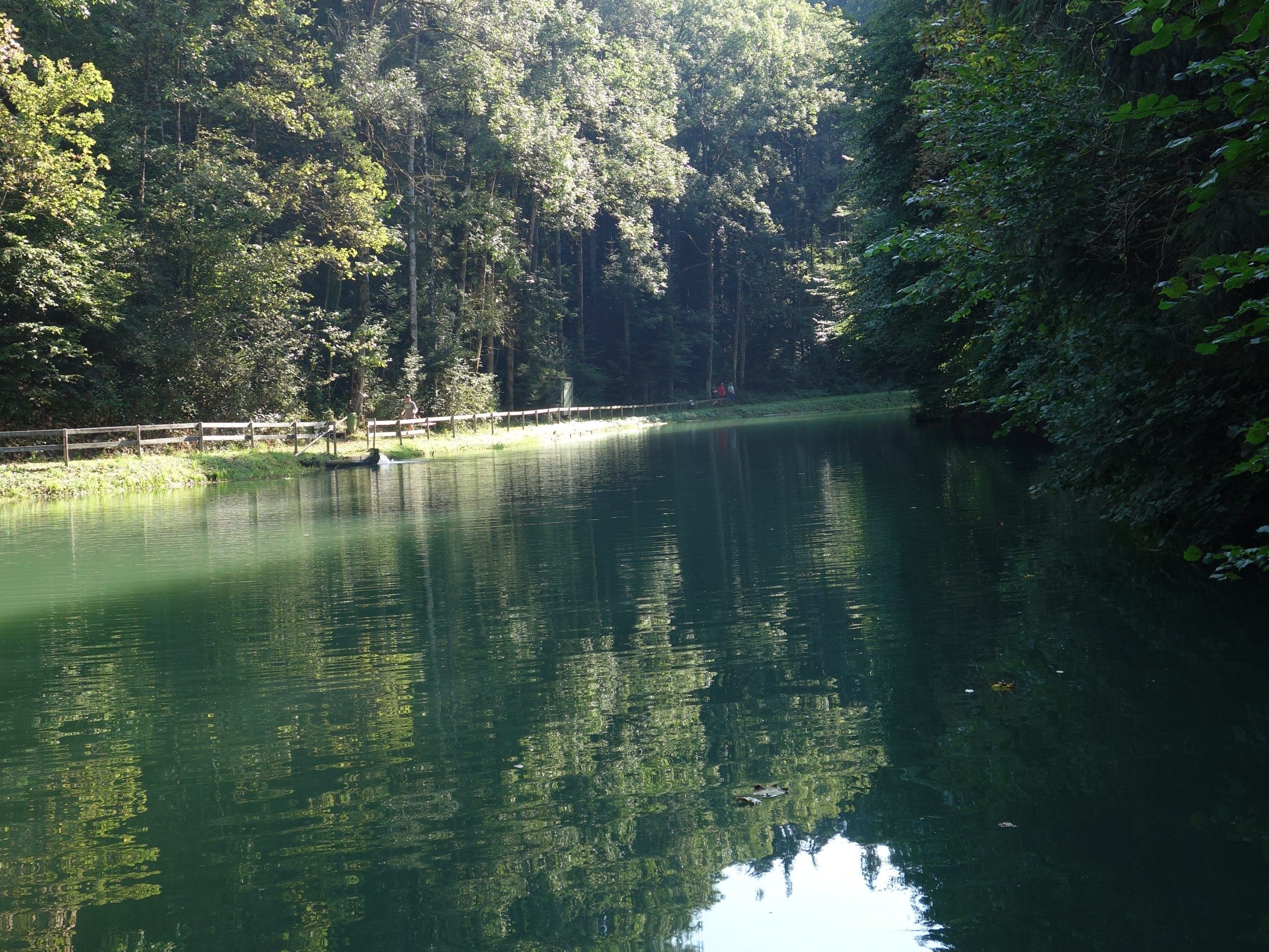 Fischweiher Schlins Fischweiher Schlins