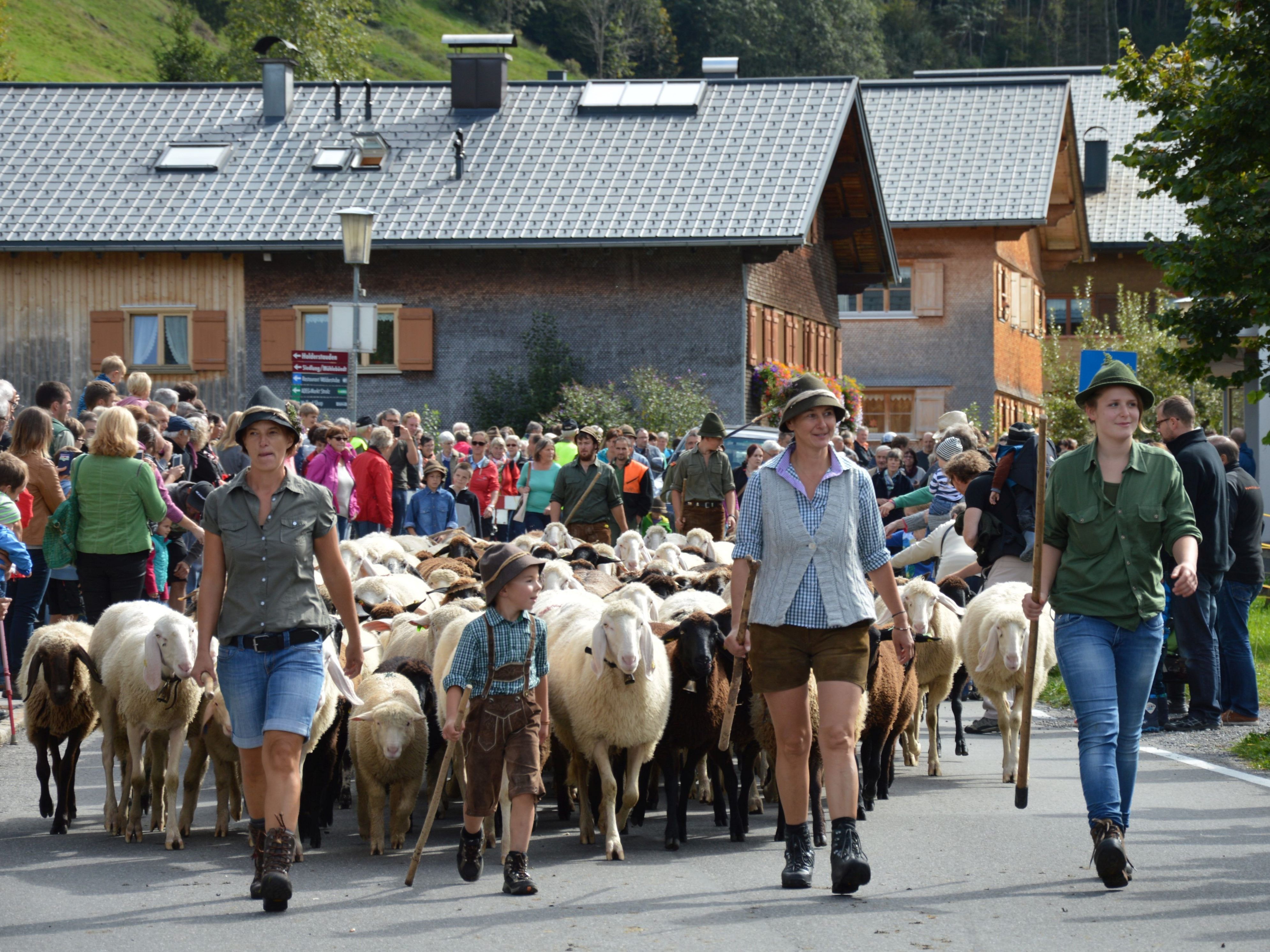 "Schaufschod" in Schoppernau